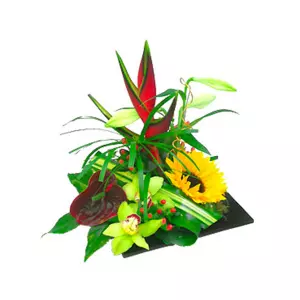 Fleurs exotiques:
Composition Juste pour Toi