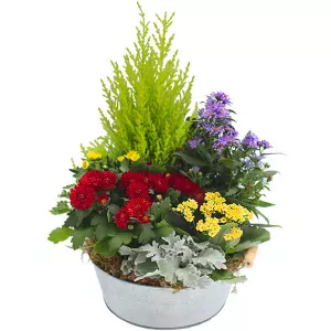 Coupe de plantes deuil tons Vifs