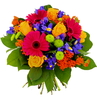 livrason de fleurs: fleurs pour plaisir d'offrir
