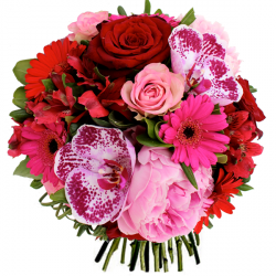 Livraison fleurs de « Bouquet Irrésistible »