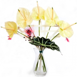 Livraison fleurs de « Bouquet Art Déco »