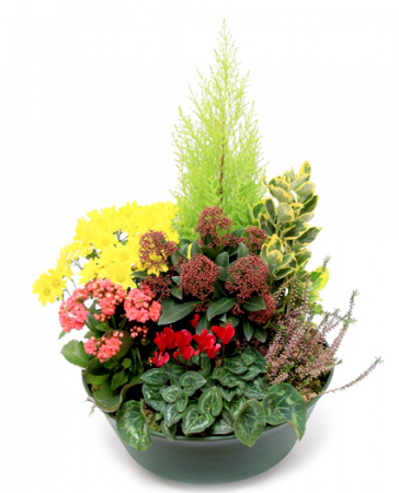 Livraison fleurs deuil: coupe de plantes pour cimetière - Floraclic