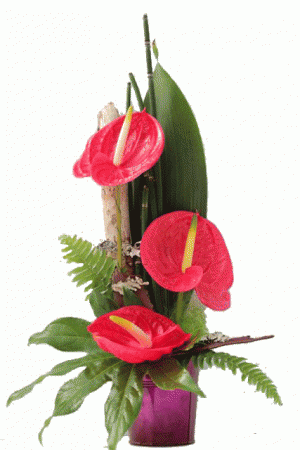 Livraison Fleurs Exotiques Composition De Fleurs Saint Valentin Biguine