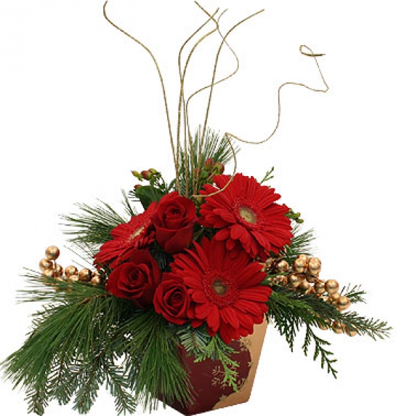 Livraison Fleurs Noel